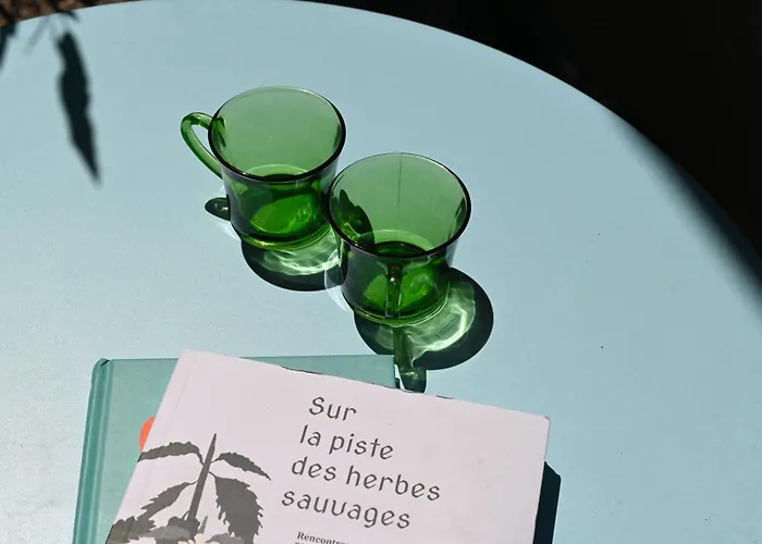 Petit Nid Au Coeur Du Centre Historique D'annecy Annecy
